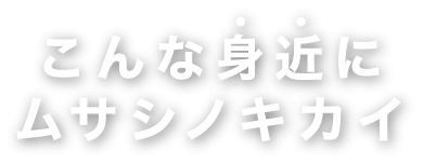 こんな身近にムサシノキカイ
